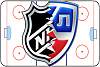 EA Pro Hockey League - профессиональная хоккейная лига-khl-nhl.jpg